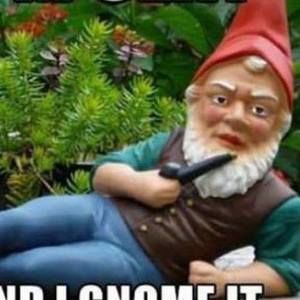 Meet your Posher, Tasha